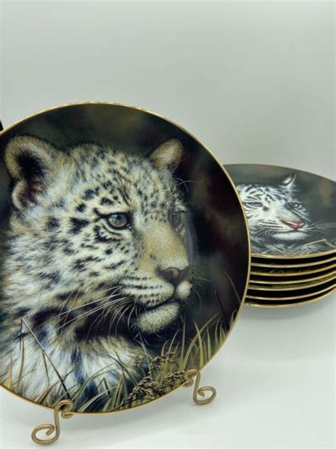 princeton gallery cubs of the big cats plate collection mint ebay
