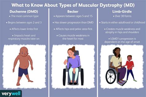 Muscular Dystrophy Types Chart
