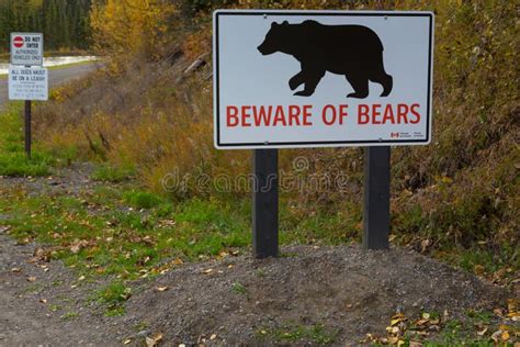 Caution Bear In Area Sign Stock Image Image Of Bold 60828931
