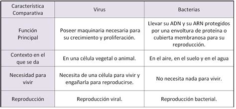 Cuadro Comparativo Entre Hongos Virus Y Bacteriasdocx Bacterias