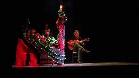 Lo Mejor Del Baile ¿cuÁntos Palos De Flamenco Existen