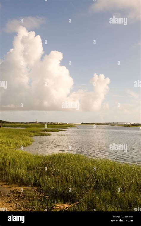 Florida Salt Marsh Hi Res Stock Photography And Images Alamy