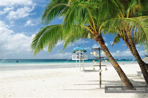 Beautiful Palm Trees At Sandy Beach At Boracay Island Philippines