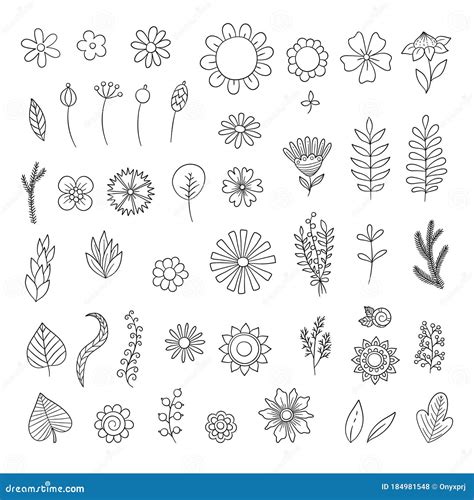 Flowers Doodle Simple Floral Botanical Collection Leaves Flowers