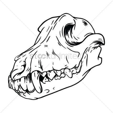 Dog Skull Vector At Getdrawings Free Download