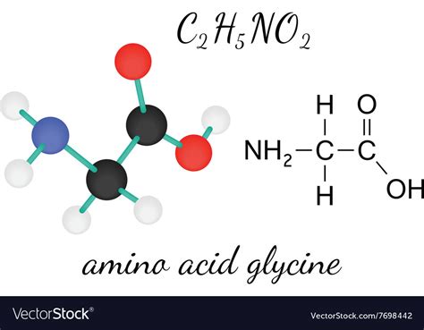 C2h5no2 Glycine Amino Acid Molecule Royalty Free Vector
