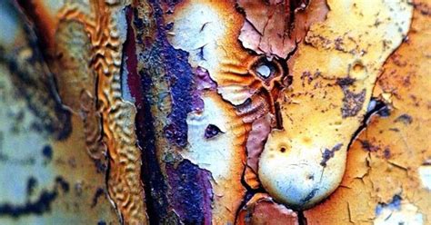 Rust Patina Texture Pinterest Peeling Paint Rust And Colour