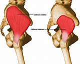 Images of Gluteal Muscle Exercises To Strengthen Glutes