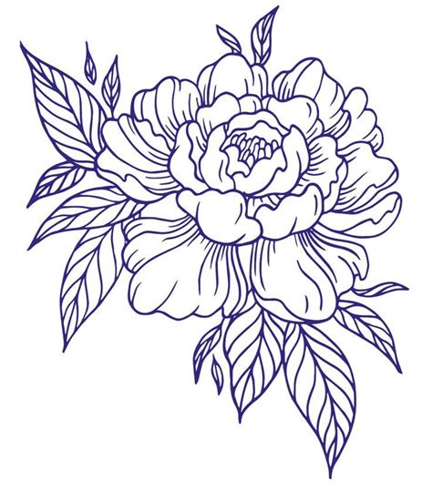 Peony Embroidery Pattern Outline Flower Line Drawings Outline