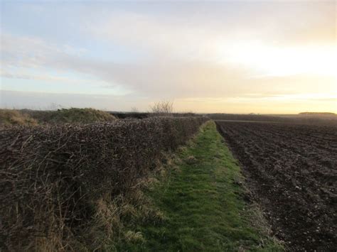 Field edge near Creyke Farm © Jonathan Thacker cc-by-sa/2.0 :: Geograph Britain and Ireland
