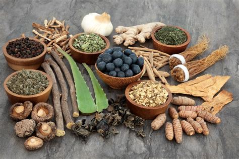 Welcome To The World Of Natural Healing And Alternative Medicine