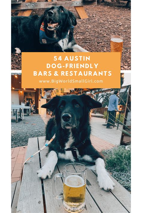 54 Amazingly Dog-Friendly Restaurants & Bars in Austin, Texas