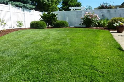 10 Tips in Maintaining Your Backyard Lawn