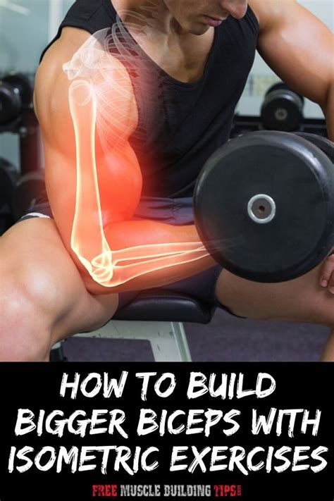 Isometric Exercises For Bigger Biceps Free Muscle Building Tips