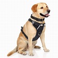 WINSEE Dog Harness No Pull, Pet Harnesses with Dog Collar, Adjustable ...