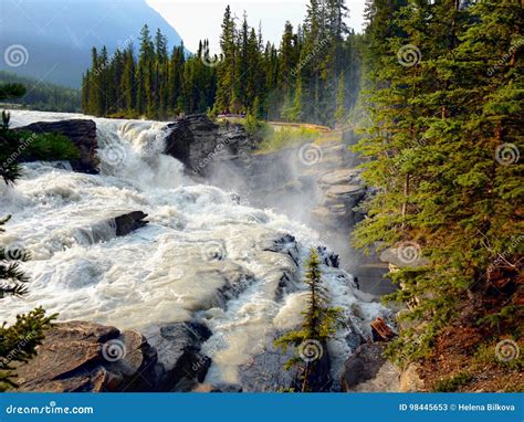Canadian Rockies Athabasca Falls Stock Image Image Of Rocky
