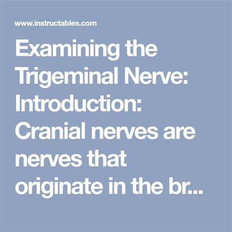 Notez On Nursing Cranial Nerve V The Trigeminal Nerve And Some Hot