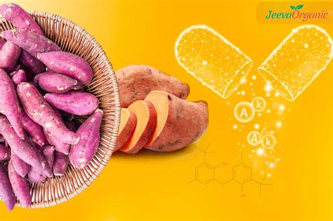 sweet potato fun facts usage storage and health benefits
