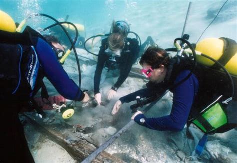 Careers In Science Marine Biologist Youth Village