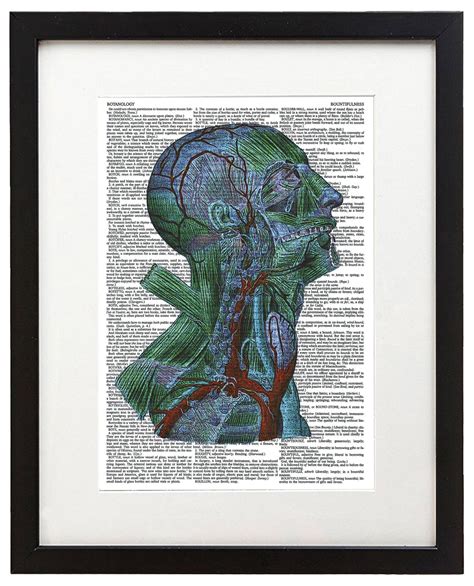 Psychedelic Anatomy 2 85x11 Semi Translucent Dictionary Art Print