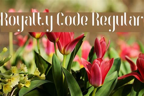 Royalty Code Regular Font