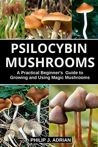 Psilocybin Mushrooms A Practical Beginners Guide To Growing And Using