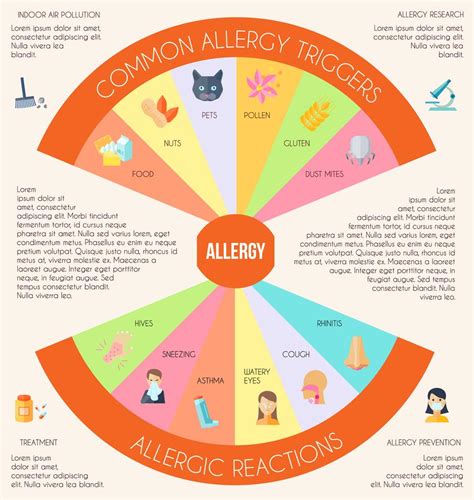 Allergy Infographics Set 428761 Vector Art At Vecteezy