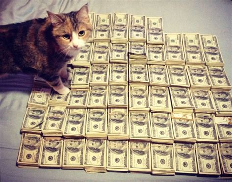 Cash Cats Photo And Art Show Flaunts Hip Trifecta Of Money Guns