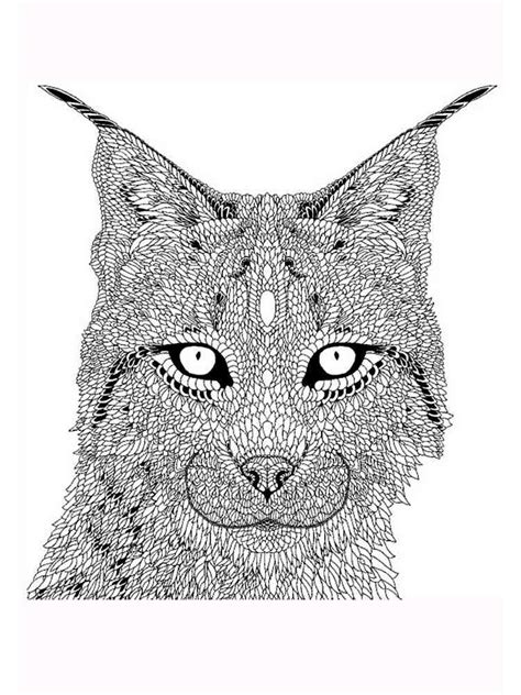 Lynx Coloring Pages For Adults