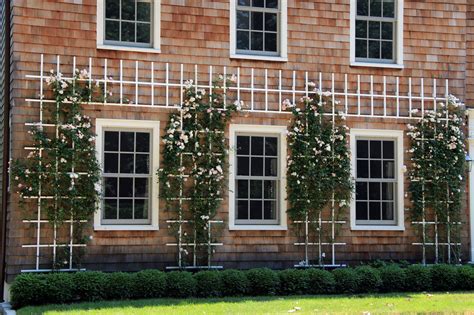 15 Most Magnificent Climbing Rose Trellis Ideas To Add Drama In Your