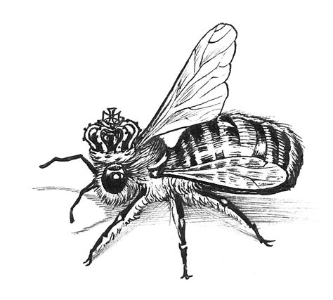 Queen Bee Tattoo Bee Tattoo Bumble Bee Tattoo