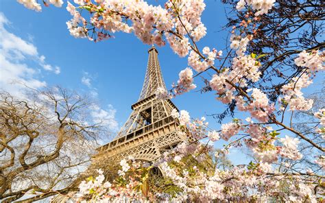 Eiffel Tower In Spring Hd Wallpaper Background Image