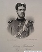 c1880 Ludwig Ferdinand von Bayern Stahlstich Portrait von Weger | eBay