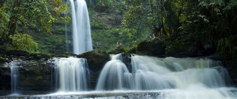 Go Chasing Waterfalls Wildlife Tours Outback Venture Sdn Bhd