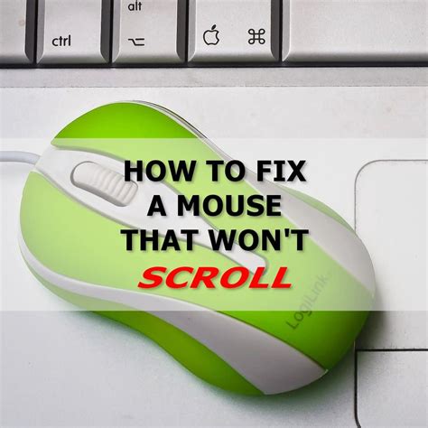 Help I Cant Scroll With My Mouse How To Fix A Mouse Scroll Wheel
