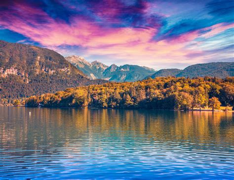 Colorful Summer Morning On The Bohinj Lake In Triglav National Park