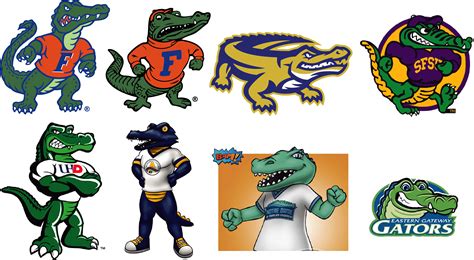 Vintage Florida Gators Logo Clipart Large Size Png Image Pikpng