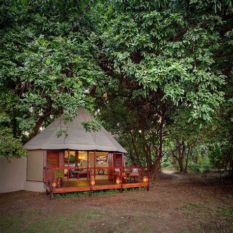 Luxury Zambia Safari Lodge Sausage Tree Camp Art Of Safari