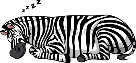 Zebra Sleeping Cartoon Clipart Vector Friendlystock