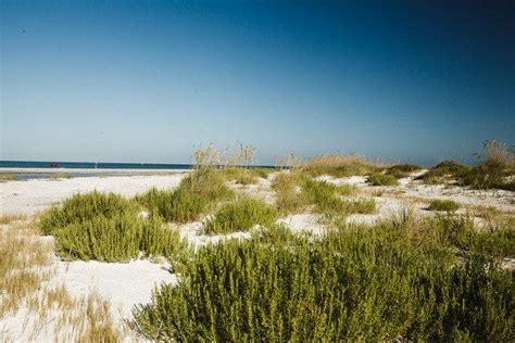 Fort De Soto Park Is One Of The Very Best Things To Do In St Petersburg Clearwater