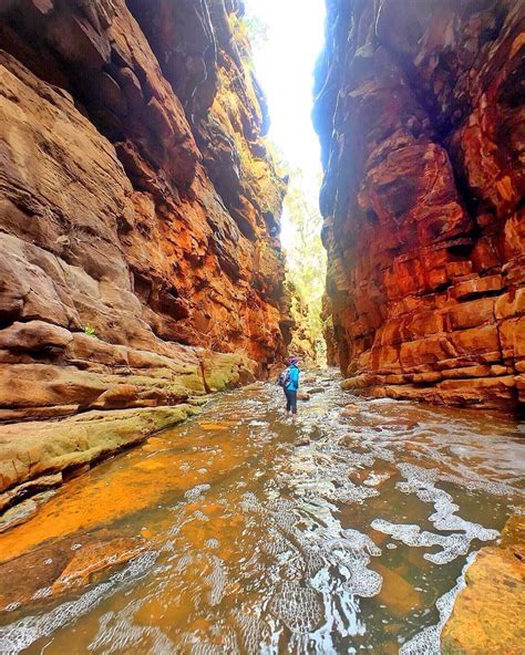 Alligator Gorge Sa See This Instagram Photo By Southaustralia