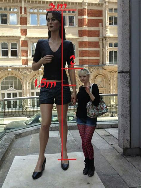 Pin By Paul Lopez On Tall Women Admirer Tall Women Women Fashion