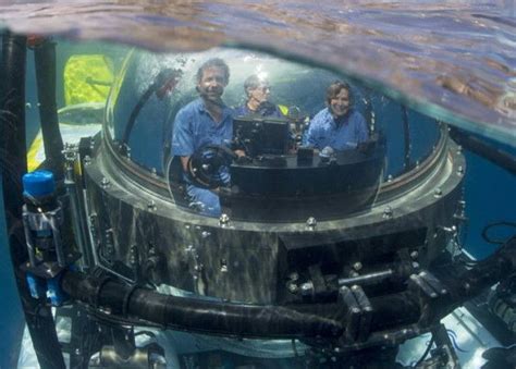 Ocean Legend Dr Sylvia Earle Celebrates Her 80th Birthday Ocean