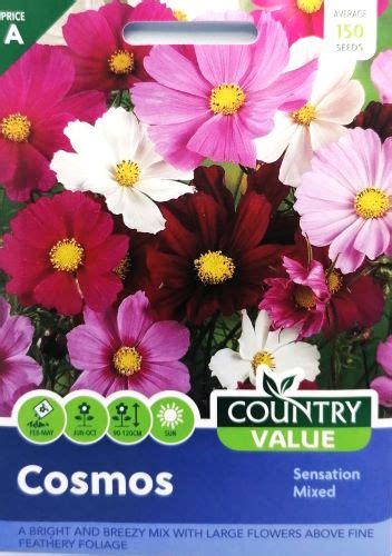 Cosmos Sensation Mix Seeds Irish Plants Direct