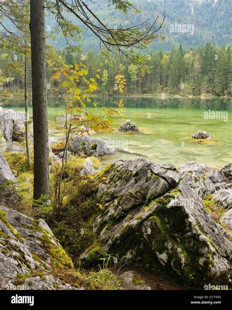 Lake Hintersee Berchtesgaden National Park Bavaria Germany Stock