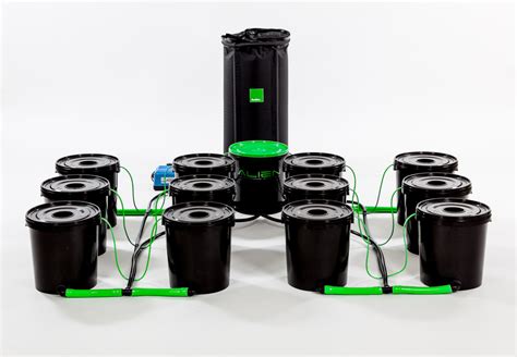 Dwc Hydroponic System Diy Tutorial Hidroponik