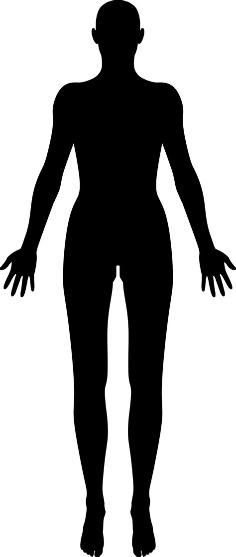 Silhouette Female Body Outline Drawing Outline Of Female Body