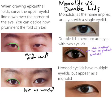 Eyeliner Asian Eyes Shop Outlets Save 55 Jlcatjgobmx