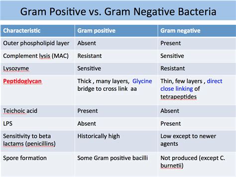 This is because the structure of their cell wall is unable to retain. Gram Positive , Gram Negative Bacteria With Staining method