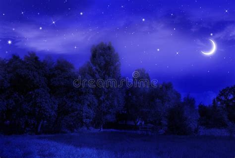 Beautiful Night Landscape Stock Image Image Of Landscape 57517345